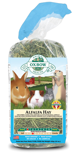 is alfalfa hay good for rabbits